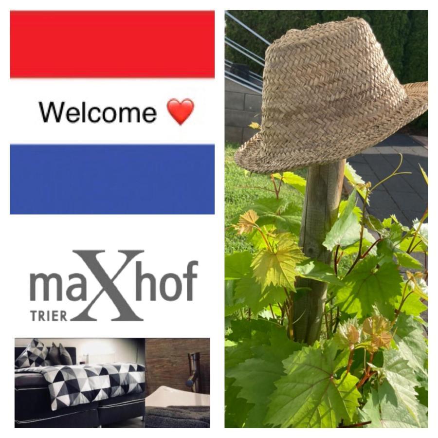 Appartamento Maxhof Treviri Esterno foto